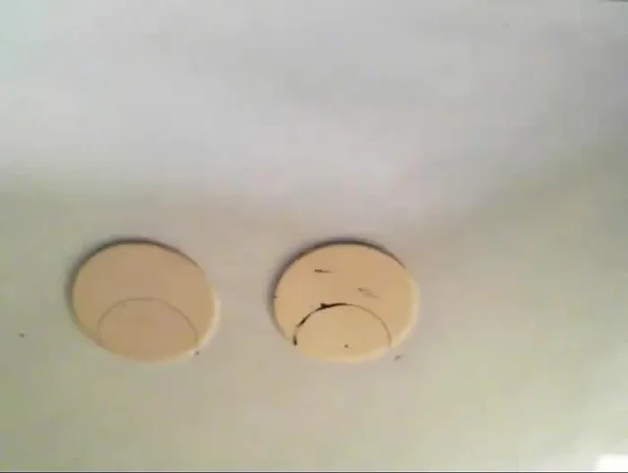 Paint the Afro (purple in this example). Note: A separate tutorial on adding hair texture is promised.