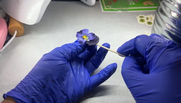 Apply a layer of resin to preserve the flower. Handle with care, as dried flowers are fragile.