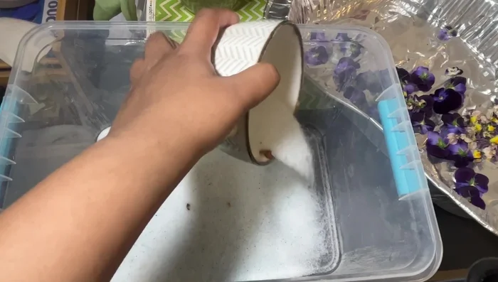 Dry the flowers with silica gel: Create a layer of silica gel, carefully place the flowers ensuring they don't touch, and completely cover them with more silica gel.