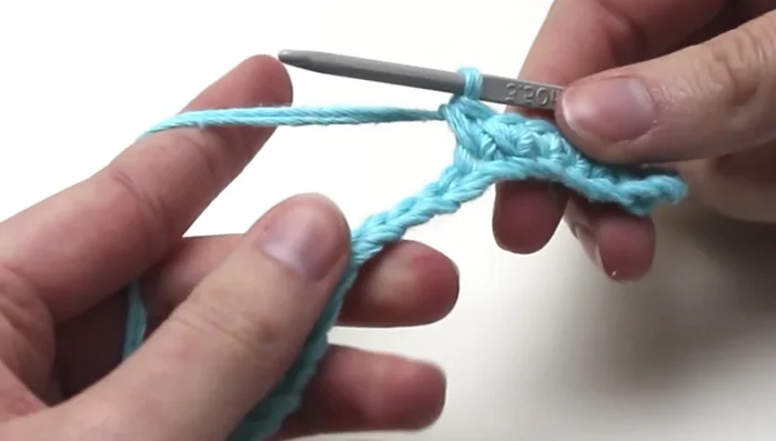 Single crochet 1 into the next 6 chains.