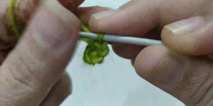 Round 3: Chain 1. 2 single crochet in each stitch around (24 stitches total). Join with a slip stitch.