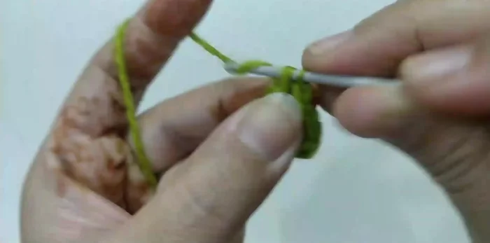 Round 3: Chain 1. 2 single crochet in each stitch around (24 stitches total). Join with a slip stitch.