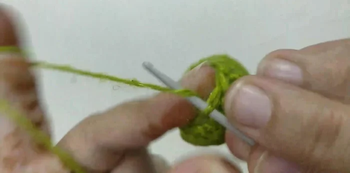 Round 9: Decrease stitches again (single crochet, single crochet) in each 2 stitches around to close the opening. Fasten off.