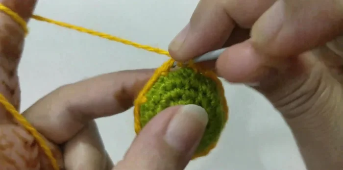 Complete each petal: Single crochet in first chain-3 space, half double crochet in same space, 6 double crochet in same space, half double crochet in same space, single crochet in same space. Repeat for all 8 petals.