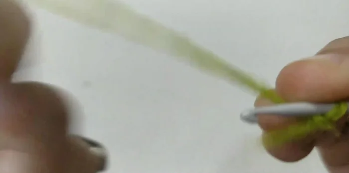 Round 3: Chain 1. 2 single crochet in each stitch around (24 stitches total). Join with a slip stitch.