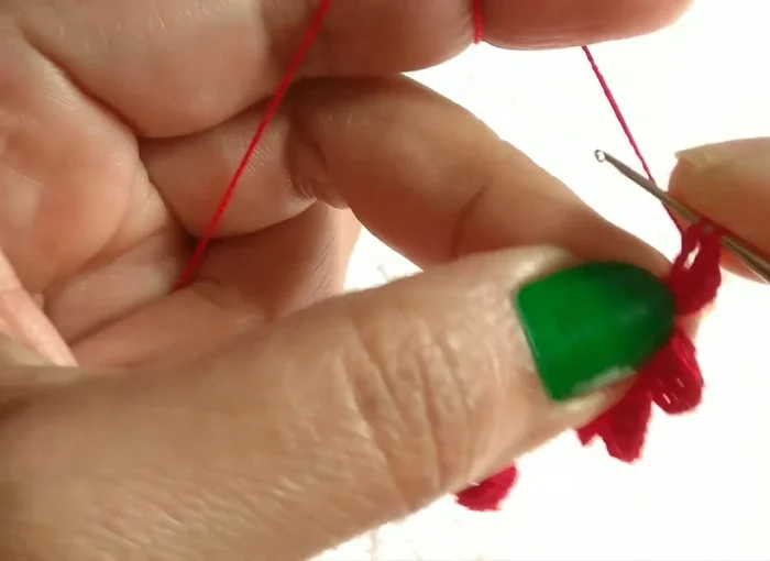 Make four patterns. Put residents of Krishna Mouni 21.